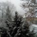 Neve Ovodda 75x75 - Meteo da pieno inverno, piogge e neve. Rischio maltempo anche nel weekend
