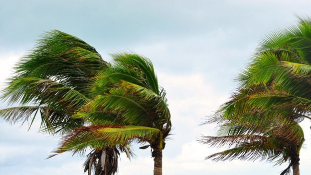 Vento bufera maestrale - Incredibile: ieri in Sardegna vento a 150 km/h