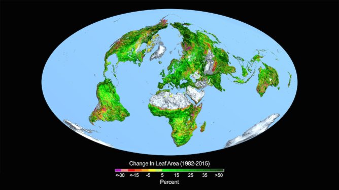 Aree verdi - Secondo alcuni climatologi "La Nina" potrebbe darci un'estate rovente