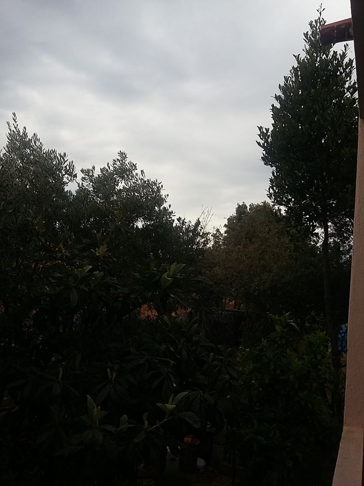 Budoni, Barbara Onnis.
