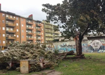 tempesta sardegna 350x250 - Oltre 360000 fulmini tra il 4 ed il 7 settembre
