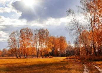 Fotolia 44096368 XS 346x250 - Meteo da tarda estate, ma nel weekend possibile maltempo