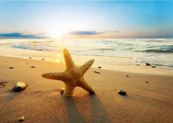 Fotolia 21858060 XS 350x250 - Sole, caldo, insomma estate