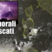 temporali agosto sardegna 75x75 - Sardegna sotto le nubi temporalesche