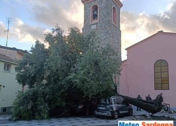 gadoni tempesta di vento danni leccio secolare 350x250 - Meteo attorno Sardegna pullula di temporali tropicali. Andrà peggio