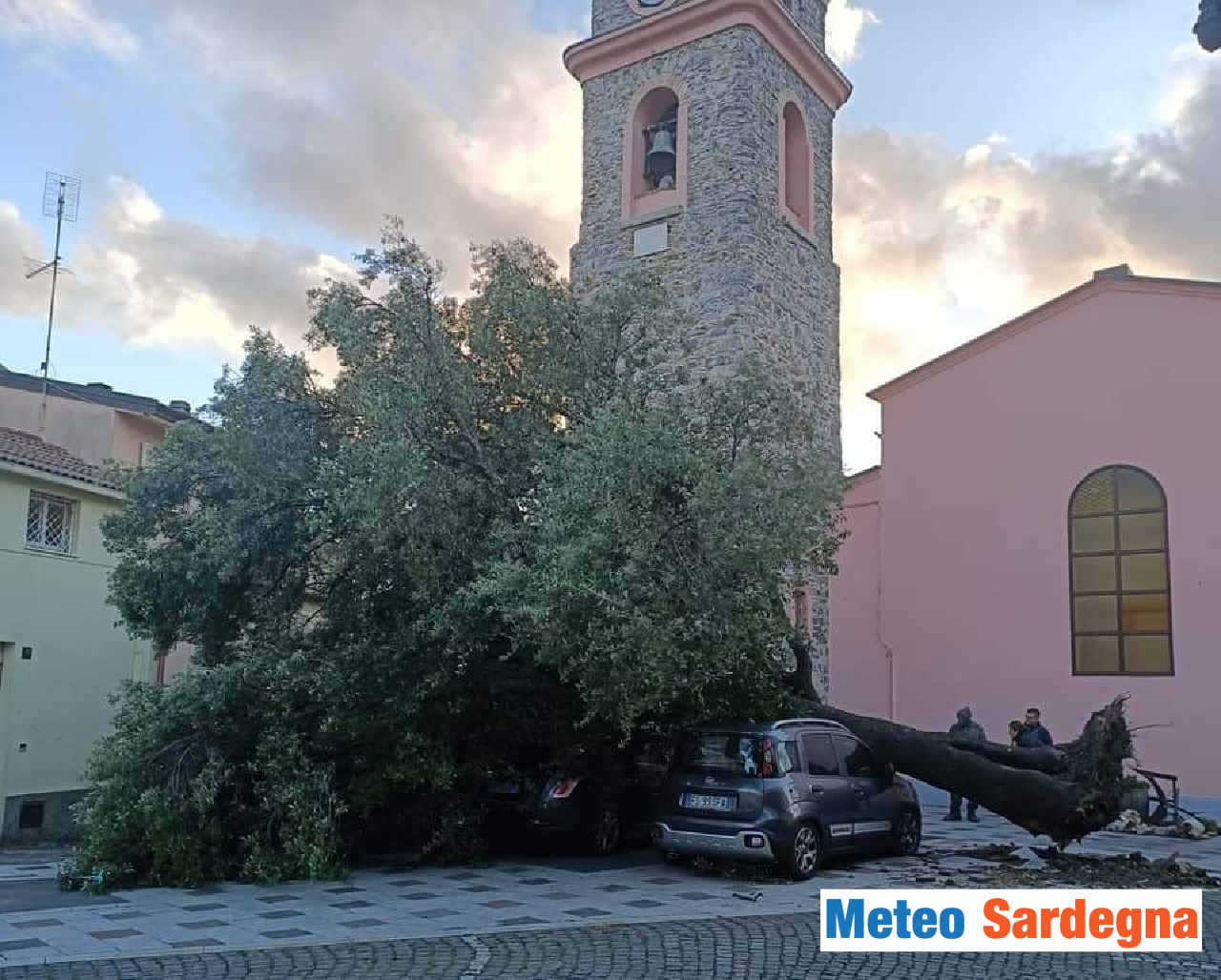 gadoni tempesta di vento danni leccio secolare - Danni ingenti per il Maestrale oggi in Sardegna. Raffica ben oltre i 120 orari