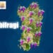 speciale maltempo 10 09 2020 sardegna 75x75 - Meteo avverso: NUOVO TEMPORALE di forte intensità verso Sardegna