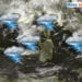 temporali attorno alla sardegna 75x75 - Sardegna, la calma simil tropicale precederà una burrasca. Meteo sempre estremo