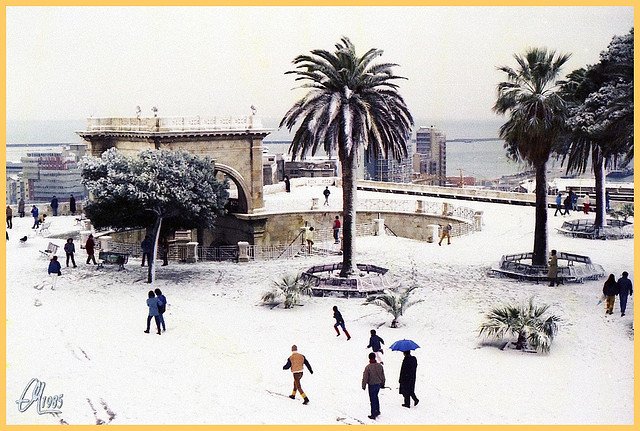 Nevicata del 9/1/1985; Cagliari. Fonte flickr.com.