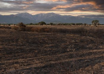 incendi sardegna