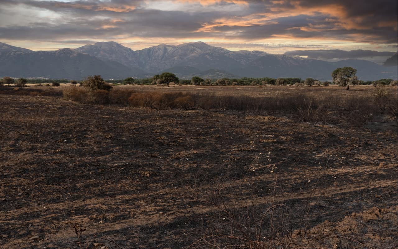 incendi sardegna - Sardegna, record di incendi nel Mediterraneo. Le cause