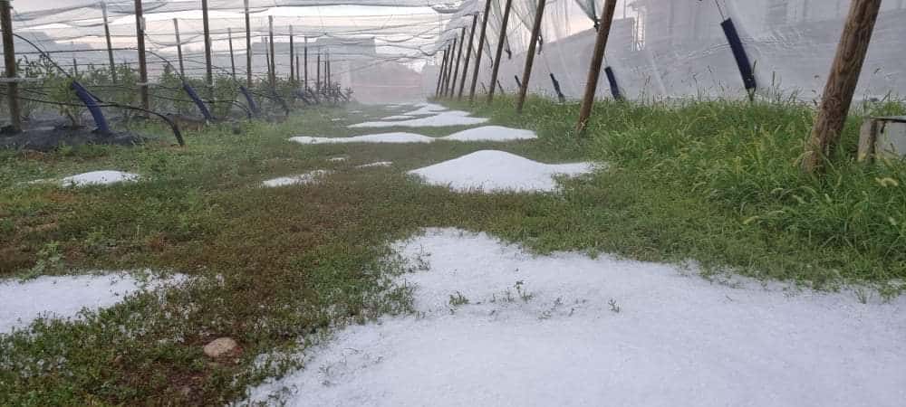 229389826 3051997308367505 5236738203110657371 n - La Sardegna ed il rischio grandine grosse dimensioni. Video e foto meteo