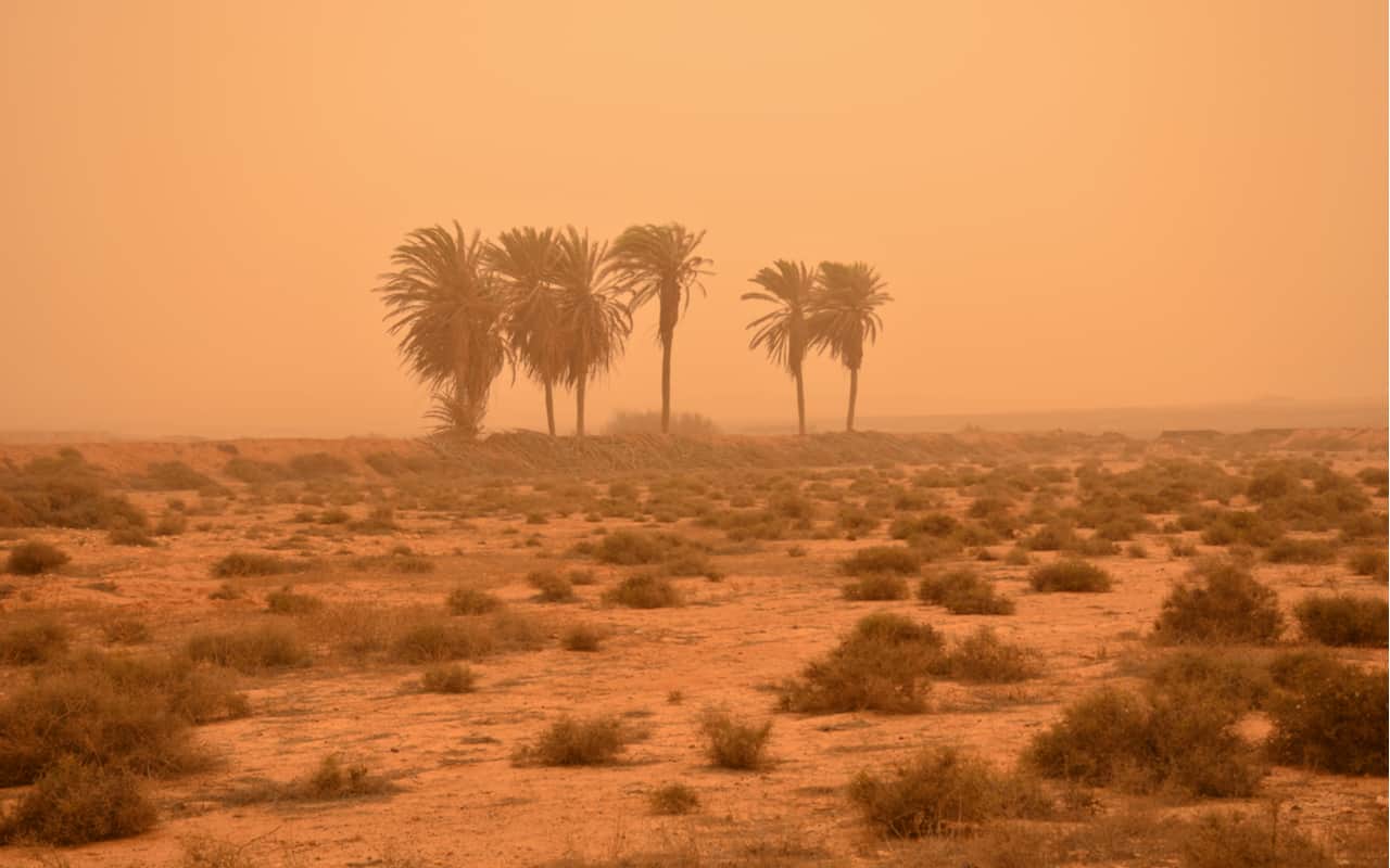 calima - Meteo: la Sardegna sovrastata da una cappa di tonnellate di sabbia del Sahara