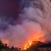 grosso incendio 75x75 - Sardegna, si rischia la moria di animali negli allevamenti a causa del meteo caldissimo