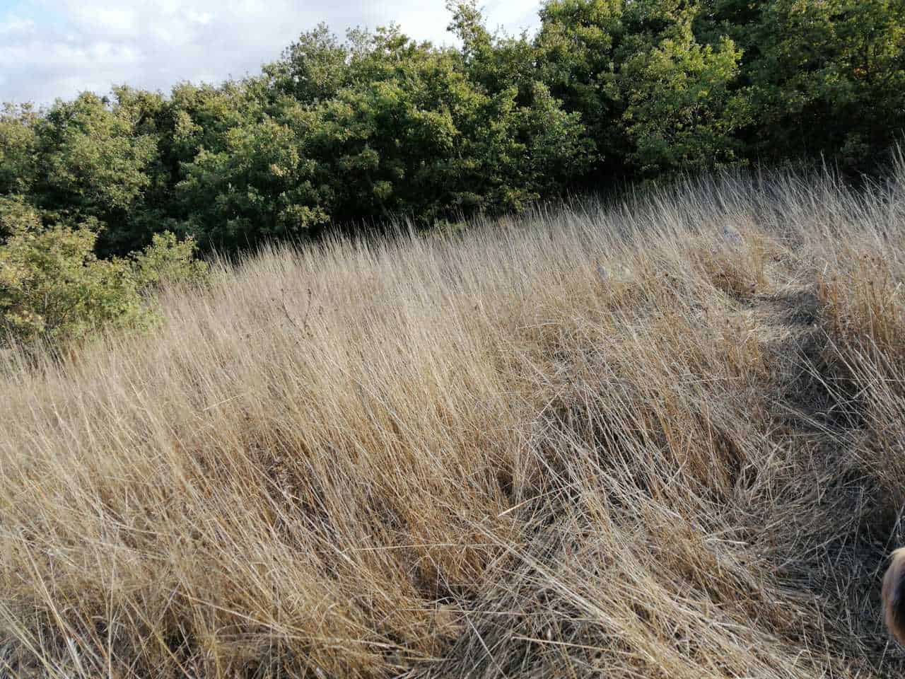 2021 10 12 20.20.29 - Centro Meteo Europeo: SARDEGNA a rischio siccità Autunno e Inverno