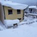 La nevicata a Tonara del 17 e 18 GENNAIO 2017.