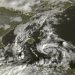 2021 11 13 09 10 29 75x75 - Meteo: ciclone mediterraneo prossimo alla Sardegna