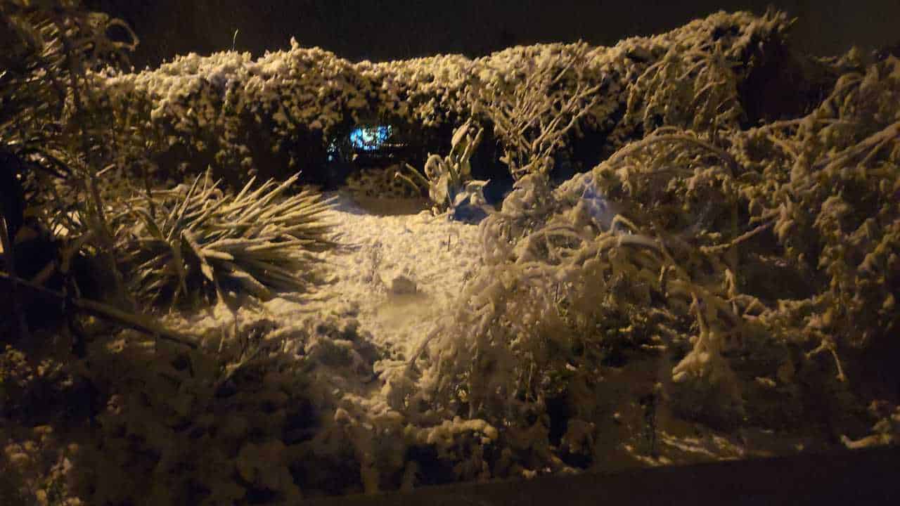 WhatsApp Image 2021 11 28 at 22.39.08 2 - Meteo SARDEGNA: la neve, la gragnola, i temporali, il freddo