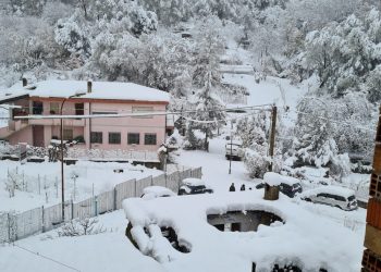 WhatsApp Image 2021 11 29 at 11.35.20 350x250 - Sardegna, meteo da Desulo, dopo la nevicata. Immagini mozzafiato