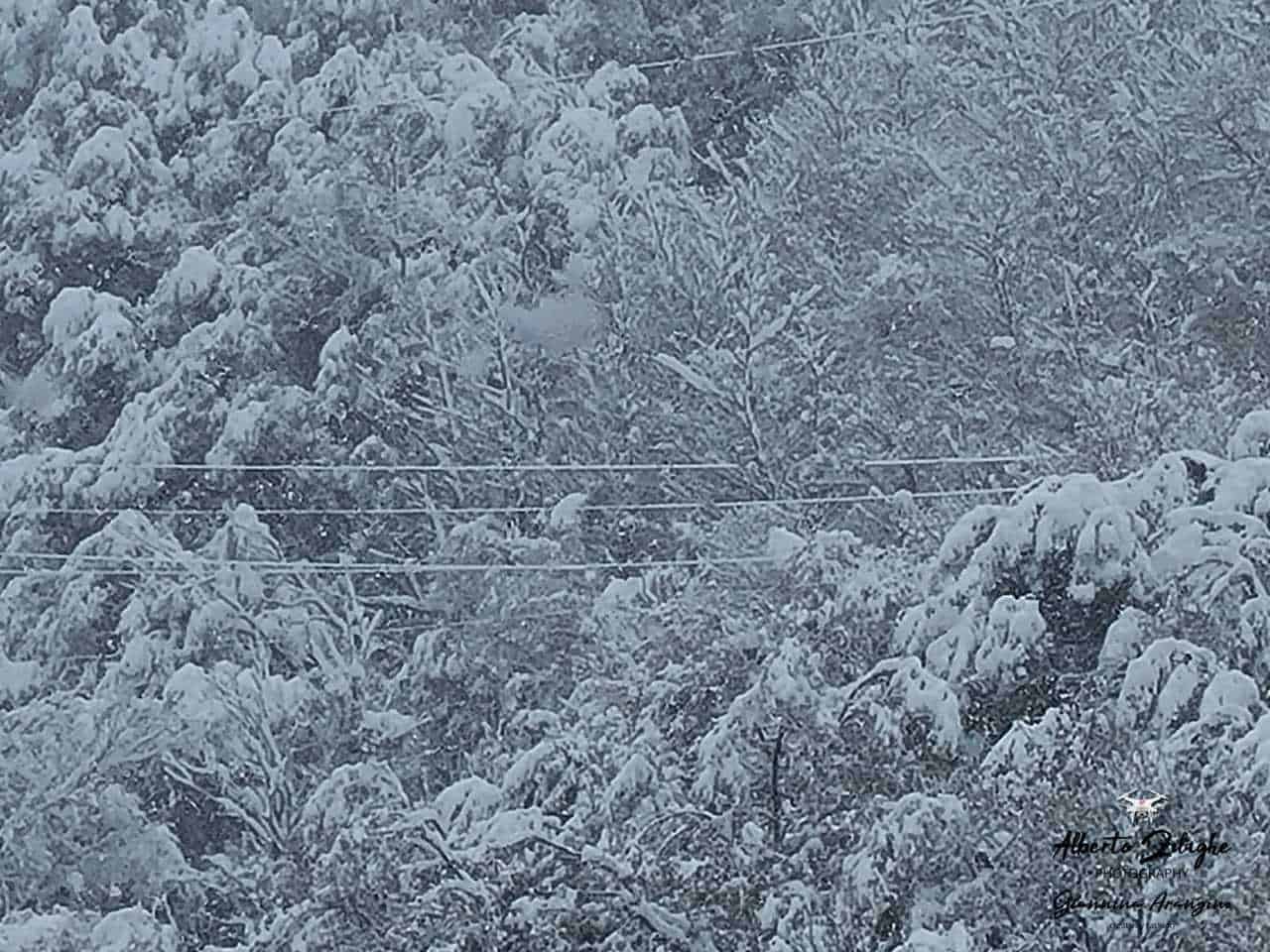 WhatsApp Image 2021 11 29 at 11.35.21 1 - Sardegna, meteo da Desulo, la grande neve del 29 novembre 2021