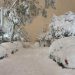 Meteo avverso ad Atene con neve.