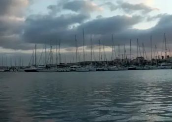 2022 04 03 10 13 23 350x250 - Sardegna, le cause meteo nell’invasione delle cavallette, ma si può fermare