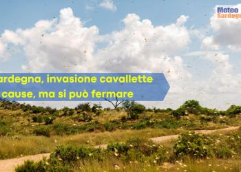 Meteo SARDEGNA 350x250 - Sardegna, le cause meteo nell’invasione delle cavallette, ma si può fermare