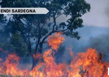 incendi sardegna 350x250 - Mari della Sardegna con temperature tropicali, ecco causa del meteo estremo