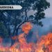 incendi sardegna 75x75 - SARDEGNA, da oggi in allerta meteo Protezione Civile