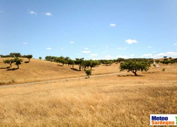 meteo 00436 350x250 - Meteo OLBIA: caldo in diminuzione, ma da lunedì temperatura in aumento