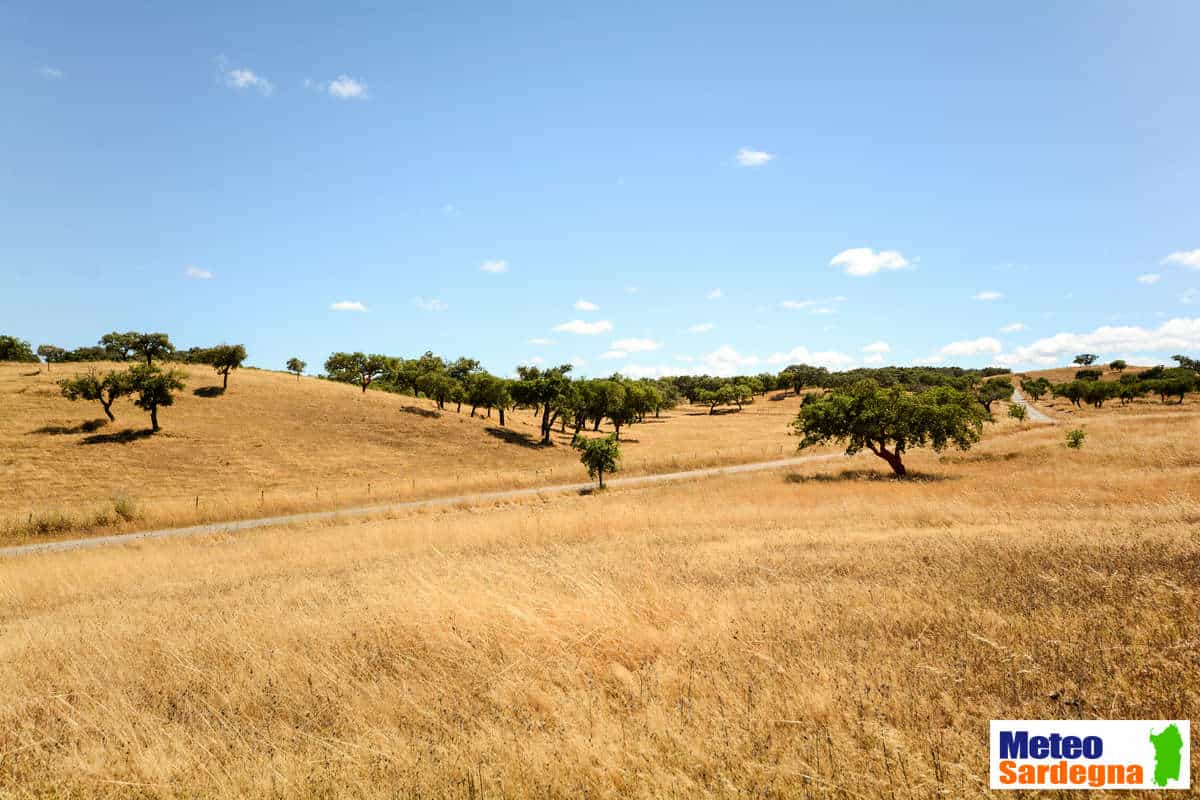 meteo 00436 - Meteo CARBONIA: caldo soffocante, ma metà settimana refrigerio intenso