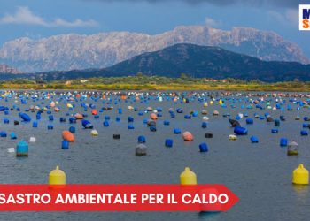 moria cozze olbia h 350x250 - Meteo SARDEGNA, sbalzi di temperatura da capogiro. Nuova via verso il Caldo