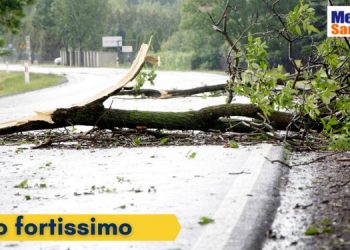 meteo sardegna previsione vento 9596 Personalizzato 350x250 - Ondata di calore in Sardegna: temperature record e impatto del riscaldamento globale