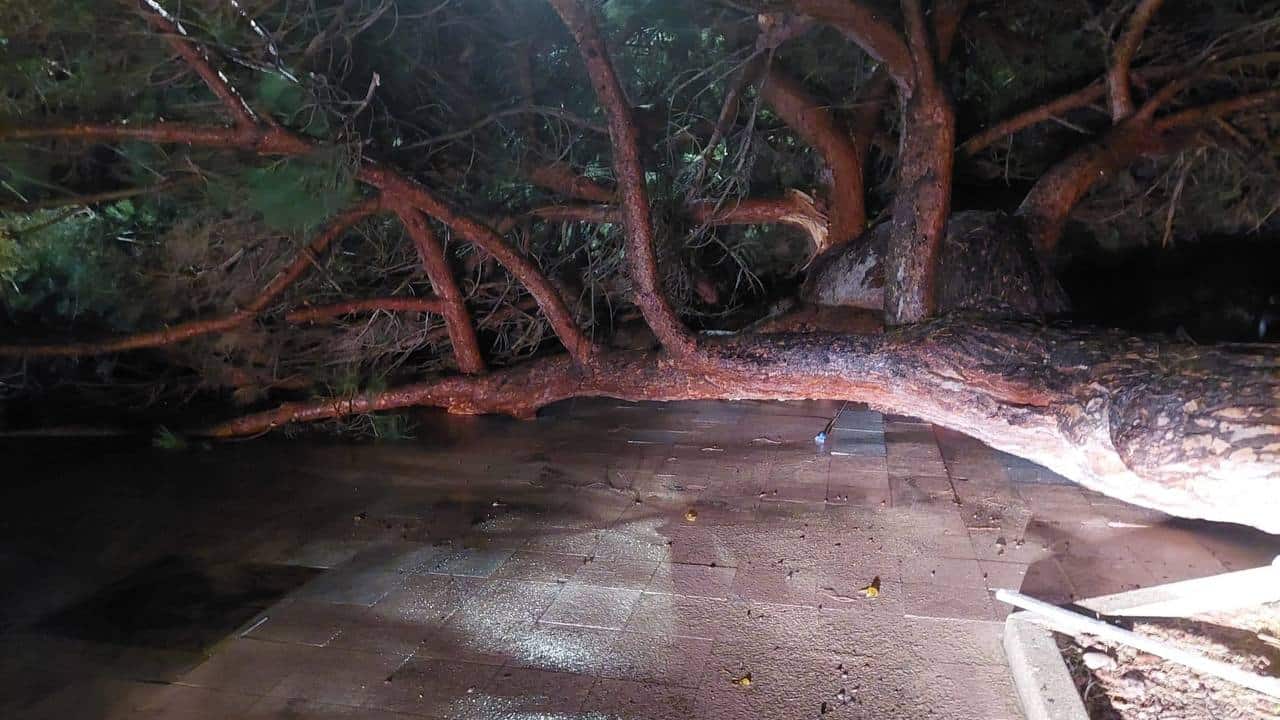 photo 2022 11 21 21 46 50 - Notte bestiale in Sardegna, meteo eccezionalmente avverso come non succedeva da anni