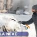 meteo sardegna torna la neve 523 75x75 - Il verde brillante del Logudoro visto da Ploaghe. La Sardegna d’inverno sembra l’Irlanda