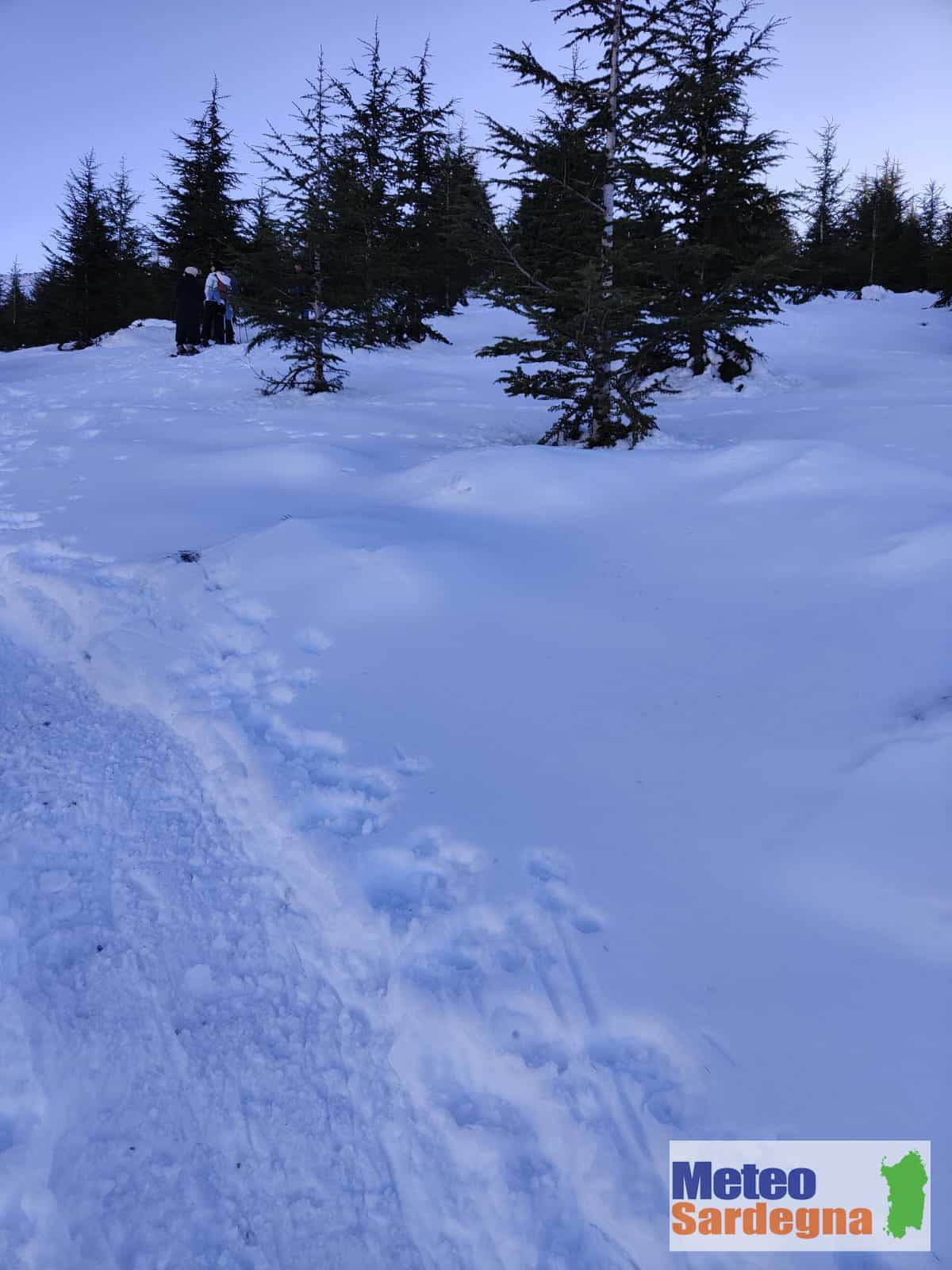 neve gennargentu 20235 - Gennargentu con la neve. Meteo invernale in Sardegna