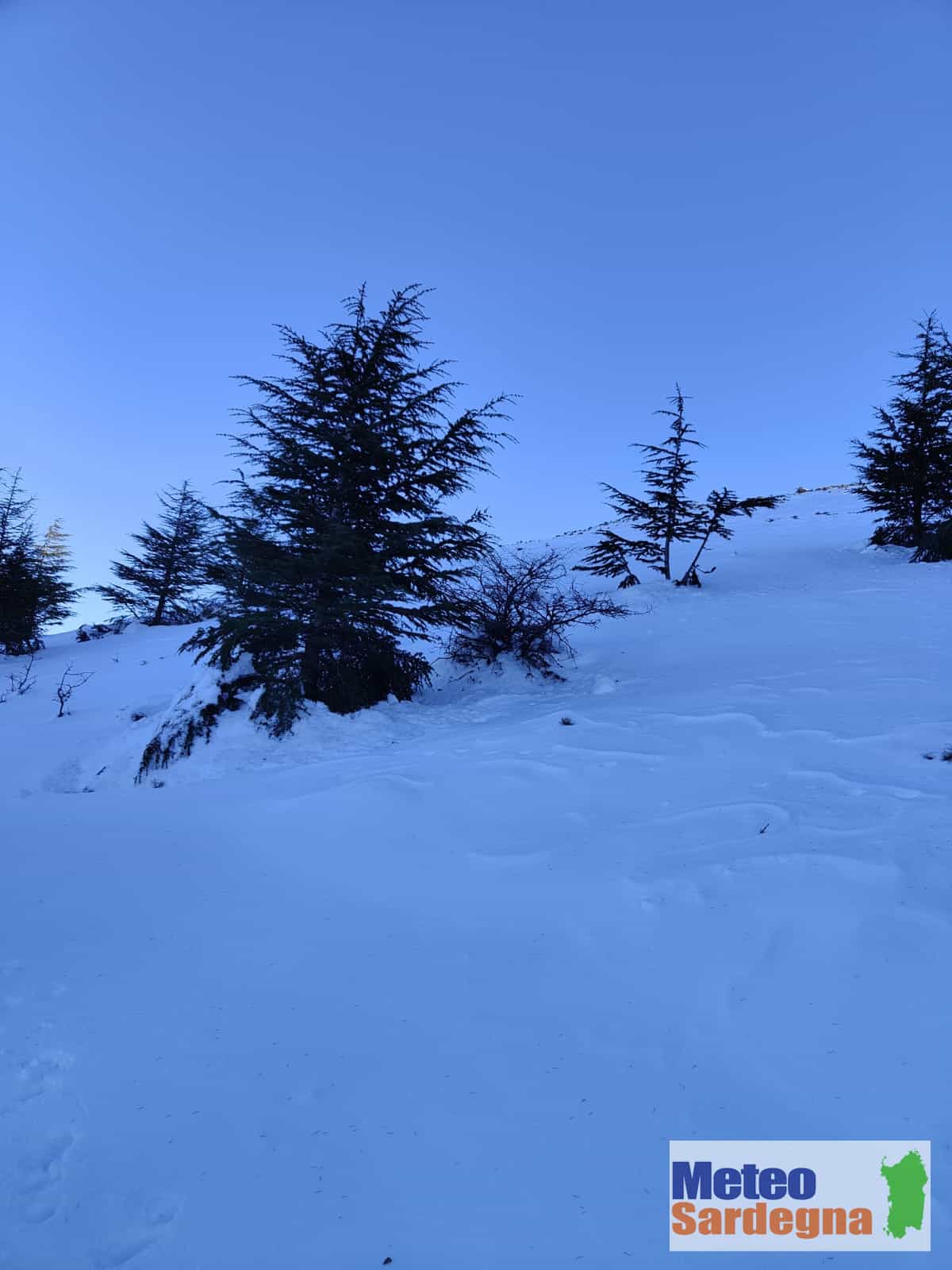 neve gennargentu 20237 - Gennargentu con la neve. Meteo invernale in Sardegna