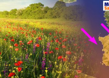 Meteo di primavera ventoso, ma senza pioggia