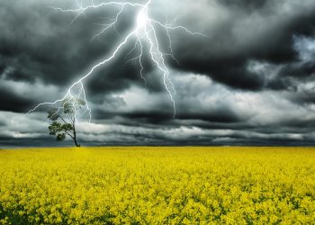 dreamstime m 21901254 350x250 - Meteo Sardegna, piove male: piogge e temporali con allagamenti e frane. Desertificazione